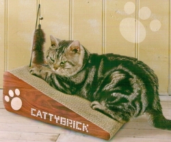 Catty Brick 貓抓板 爪印斜坡貓抓板 [滿額]