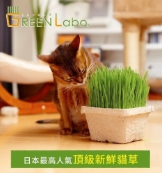 Green Labo 日本頂級新鮮貓草 [ 全系列 ] 贈