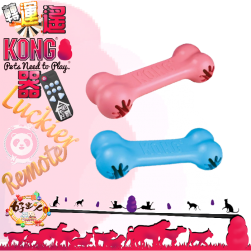 美國KONG 幼犬狗骨頭益智玩具 [轉運遙KONG器]