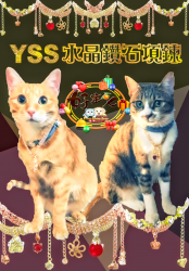 YSS 寵物Bling²水晶鑽石項鍊 [好愛台] [親薦]