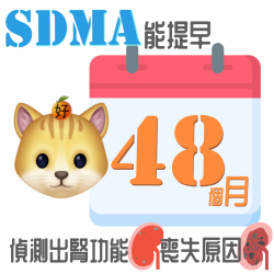 CKD慢性腎臟病貓 5分鐘認識SDMA